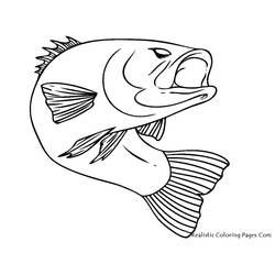Disegno da colorare: Pescare (Animali) #17040 - Pagine da Colorare Stampabili Gratuite