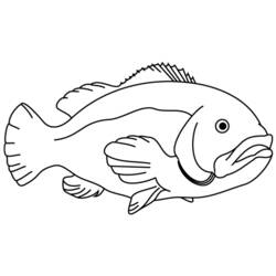 Disegno da colorare: Pescare (Animali) #17124 - Pagine da Colorare Stampabili Gratuite