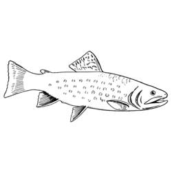 Disegno da colorare: Pescare (Animali) #17136 - Pagine da Colorare Stampabili Gratuite