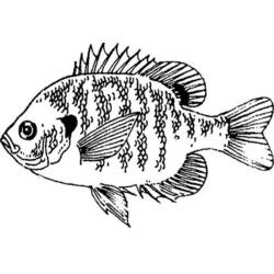 Disegno da colorare: Pescare (Animali) #17148 - Pagine da Colorare Stampabili Gratuite