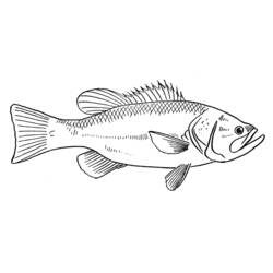 Disegno da colorare: Pescare (Animali) #17170 - Pagine da Colorare Stampabili Gratuite