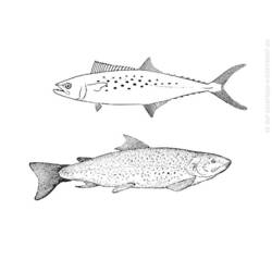 Disegno da colorare: Pescare (Animali) #17209 - Pagine da Colorare Stampabili Gratuite