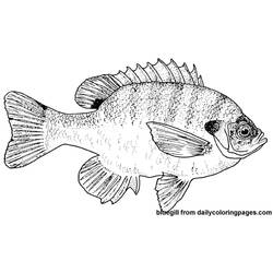 Disegno da colorare: Pescare (Animali) #17211 - Pagine da Colorare Stampabili Gratuite