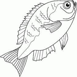Disegno da colorare: Pescare (Animali) #17217 - Pagine da Colorare Stampabili Gratuite