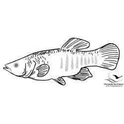Disegno da colorare: Pescare (Animali) #17220 - Pagine da Colorare Stampabili Gratuite
