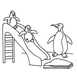 Disegno da colorare: Pinguino (Animali) #16825 - Pagine da Colorare Stampabili Gratuite