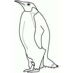 Disegno da colorare: Pinguino (Animali) #16842 - Pagine da Colorare Stampabili Gratuite