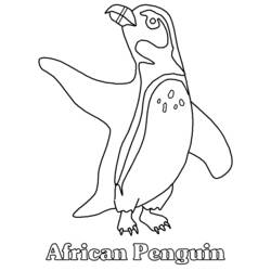 Disegno da colorare: Pinguino (Animali) #16847 - Pagine da Colorare Stampabili Gratuite