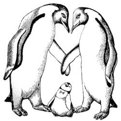 Disegno da colorare: Pinguino (Animali) #16854 - Pagine da Colorare Stampabili Gratuite