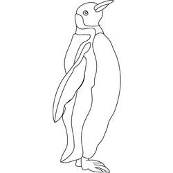 Disegno da colorare: Pinguino (Animali) #16860 - Pagine da Colorare Stampabili Gratuite