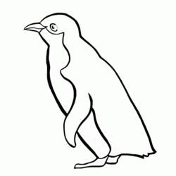 Disegno da colorare: Pinguino (Animali) #16874 - Pagine da Colorare Stampabili Gratuite