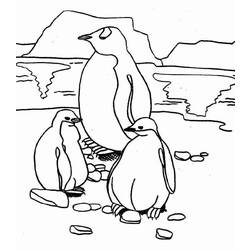 Disegno da colorare: Pinguino (Animali) #16876 - Pagine da Colorare Stampabili Gratuite