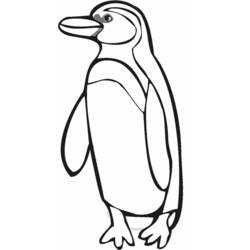 Disegno da colorare: Pinguino (Animali) #16877 - Pagine da Colorare Stampabili Gratuite