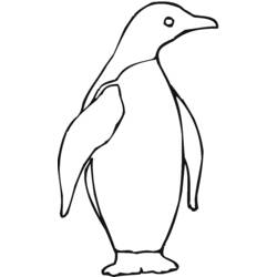 Disegno da colorare: Pinguino (Animali) #16900 - Pagine da Colorare Stampabili Gratuite