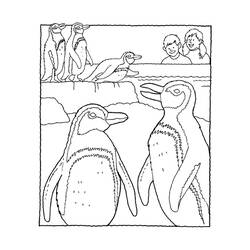 Disegno da colorare: Pinguino (Animali) #16901 - Pagine da Colorare Stampabili Gratuite
