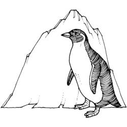 Disegno da colorare: Pinguino (Animali) #16943 - Pagine da Colorare Stampabili Gratuite