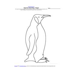 Disegno da colorare: Pinguino (Animali) #16988 - Pagine da Colorare Stampabili Gratuite