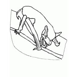Disegno da colorare: Pipistrello (Animali) #1981 - Pagine da Colorare Stampabili Gratuite