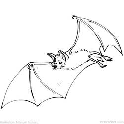 Disegno da colorare: Pipistrello (Animali) #2004 - Pagine da Colorare Stampabili Gratuite