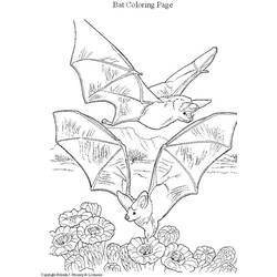 Disegno da colorare: Pipistrello (Animali) #2027 - Pagine da Colorare Stampabili Gratuite