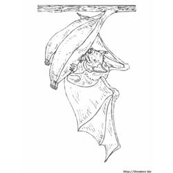 Disegno da colorare: Pipistrello (Animali) #2060 - Pagine da Colorare Stampabili Gratuite