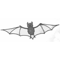 Disegno da colorare: Pipistrello (Animali) #2148 - Pagine da Colorare Stampabili Gratuite