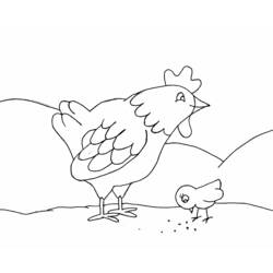 Disegno da colorare: Pollo (Animali) #17222 - Pagine da Colorare Stampabili Gratuite