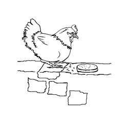 Disegno da colorare: Pollo (Animali) #17230 - Pagine da Colorare Stampabili Gratuite