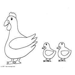 Disegno da colorare: Pollo (Animali) #17238 - Pagine da Colorare Stampabili Gratuite