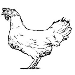 Disegno da colorare: Pollo (Animali) #17371 - Pagine da Colorare Stampabili Gratuite