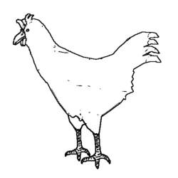 Disegno da colorare: Pollo (Animali) #17377 - Pagine da Colorare Stampabili Gratuite