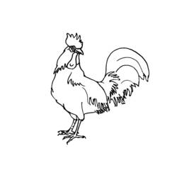 Disegno da colorare: Pollo (Animali) #17383 - Pagine da Colorare Stampabili Gratuite