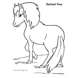 Disegno da colorare: Pony (Animali) #17946 - Pagine da Colorare Stampabili Gratuite