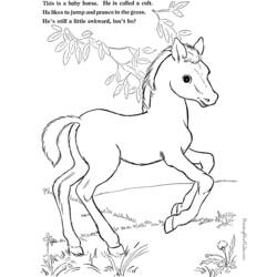 Disegno da colorare: Pony (Animali) #17997 - Pagine da Colorare Stampabili Gratuite