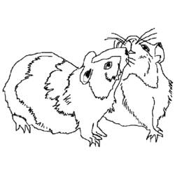 Disegno da colorare: porcellino d'India (Animali) #18500 - Pagine da Colorare Stampabili Gratuite