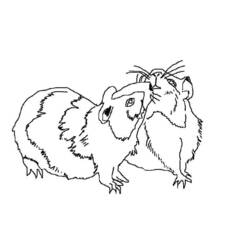 Disegno da colorare: porcellino d'India (Animali) #18547 - Pagine da Colorare Stampabili Gratuite