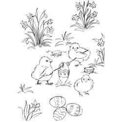 Disegno da colorare: Pulcino (Animali) #15443 - Pagine da Colorare Stampabili Gratuite