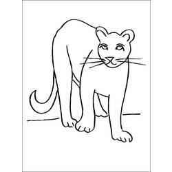 Disegno da colorare: Puma (Animali) #4384 - Pagine da Colorare Stampabili Gratuite