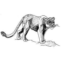 Disegno da colorare: Puma (Animali) #4385 - Pagine da Colorare Stampabili Gratuite