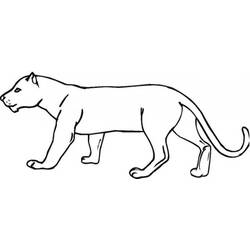 Disegno da colorare: Puma (Animali) #4404 - Pagine da Colorare Stampabili Gratuite