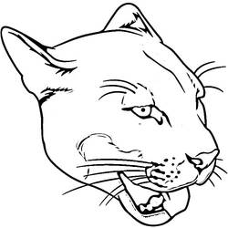 Disegno da colorare: Puma (Animali) #4415 - Pagine da Colorare Stampabili Gratuite