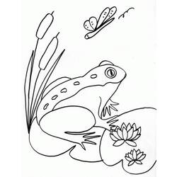 Disegno da colorare: Rana (Animali) #7606 - Pagine da Colorare Stampabili Gratuite