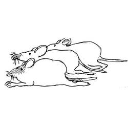 Disegno da colorare: Ratto (Animali) #15168 - Pagine da Colorare Stampabili Gratuite