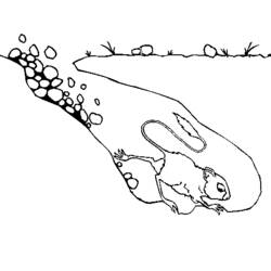 Disegno da colorare: Ratto (Animali) #15178 - Pagine da Colorare Stampabili Gratuite