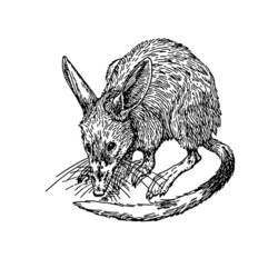Disegno da colorare: Ratto (Animali) #15182 - Pagine da Colorare Stampabili Gratuite