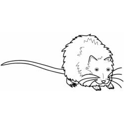 Disegno da colorare: Ratto (Animali) #15183 - Pagine da Colorare Stampabili Gratuite