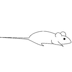 Disegno da colorare: Ratto (Animali) #15187 - Pagine da Colorare Stampabili Gratuite