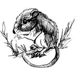Disegno da colorare: Ratto (Animali) #15190 - Pagine da Colorare Stampabili Gratuite