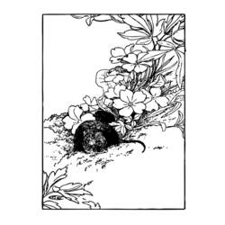 Disegno da colorare: Ratto (Animali) #15195 - Pagine da Colorare Stampabili Gratuite
