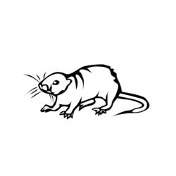 Disegno da colorare: Ratto (Animali) #15200 - Pagine da Colorare Stampabili Gratuite